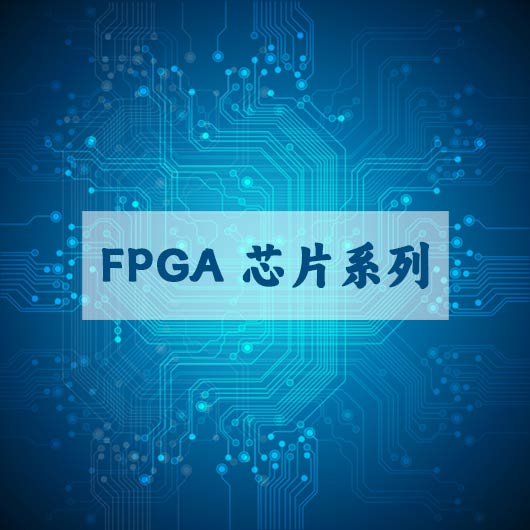 FPGA 芯片系列